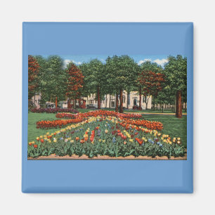 Tulpe-Zeit Holland, Michigan Magnet