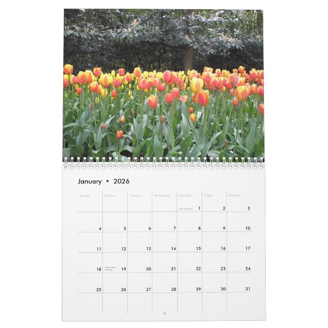 Tulpekalender Kalender (Jan 2026)