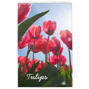 Tulpekalender Kalender