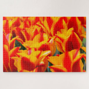 Tulpen aus Amsterdam.