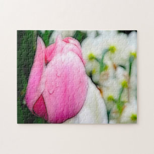Tulpen aus Amsterdam.