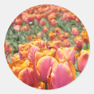Tulpen-Blumen-Aufkleber Umschlag-Siegel Frühling Runder Aufkleber