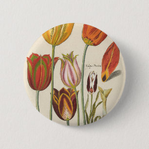 Tulpen Button