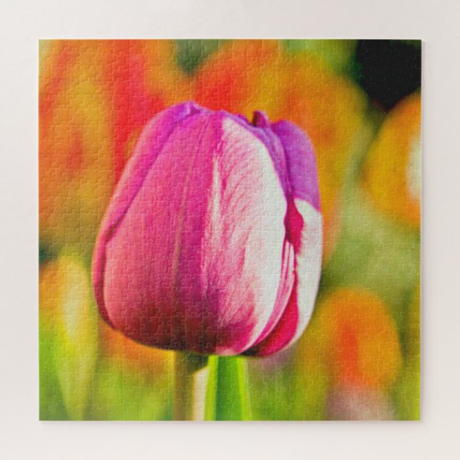 Tulpen Collage (Horizontal)