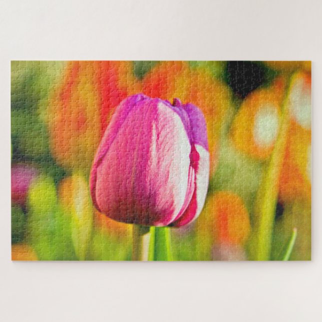 Tulpen Collage (Horizontal)