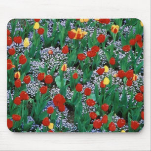 Tulpen durch TDGallery Mousepad