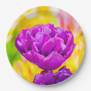 Tulpen Enchanting 15 Pappteller