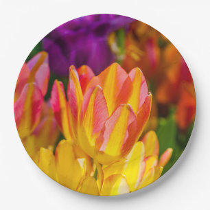 Tulpen Enchanting 16 Pappteller