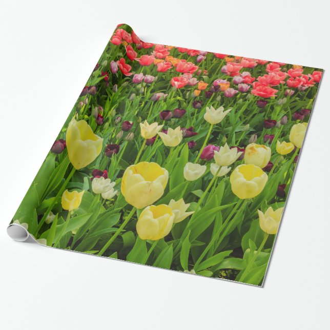 Tulpen für glänzendes Wrapping Paper Geschenkpapier (Ungerollt)