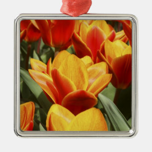 Tulpen gibt es im Keukenhof-Garten, Holland Ornament Aus Metall