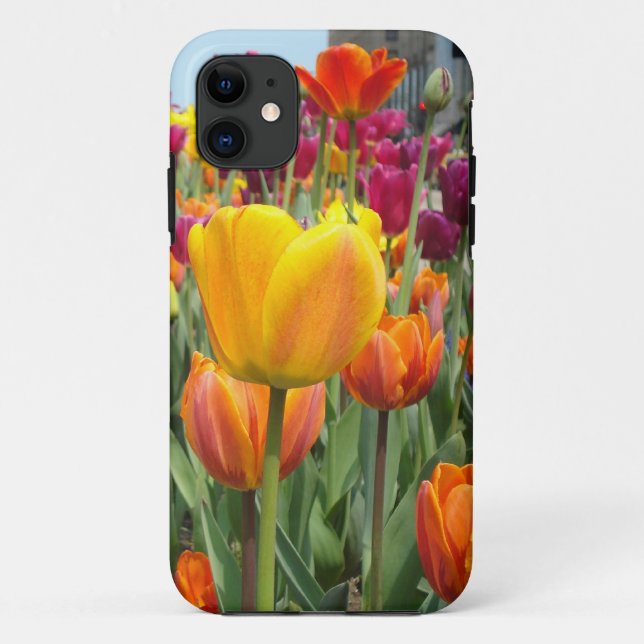 Tulpen im Brise iPhone Fall Case-Mate iPhone Hülle (Rückseite)