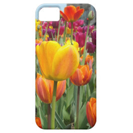 Tulpen im Brise iPhone Fall title_seo2