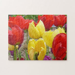 Tulpen im Garten-Puzzle