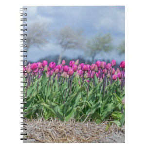 Tulpen im Windnotizbuch Notizblock
