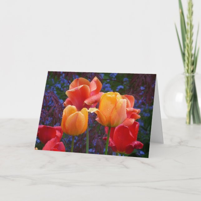 Tulpen in der Regen-Karte Karte (Vorderseite)
