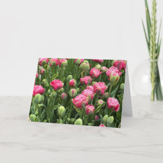 Tulpen in Hülle und Fülle Grußkarte ohne Text Karte