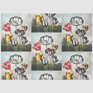 Tulpen in verschiedenen Farben im launischen Regen Seidenpapier