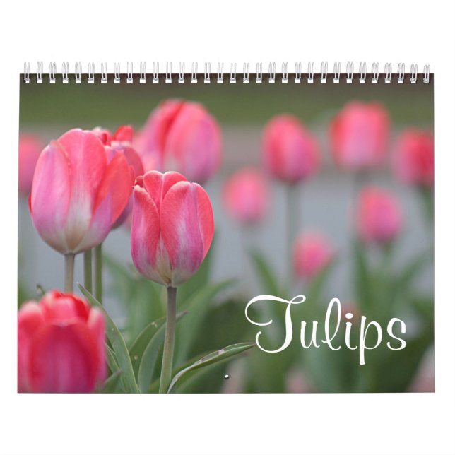 Tulpen Kalender (Titelbild)
