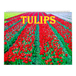 Tulpen Kalender