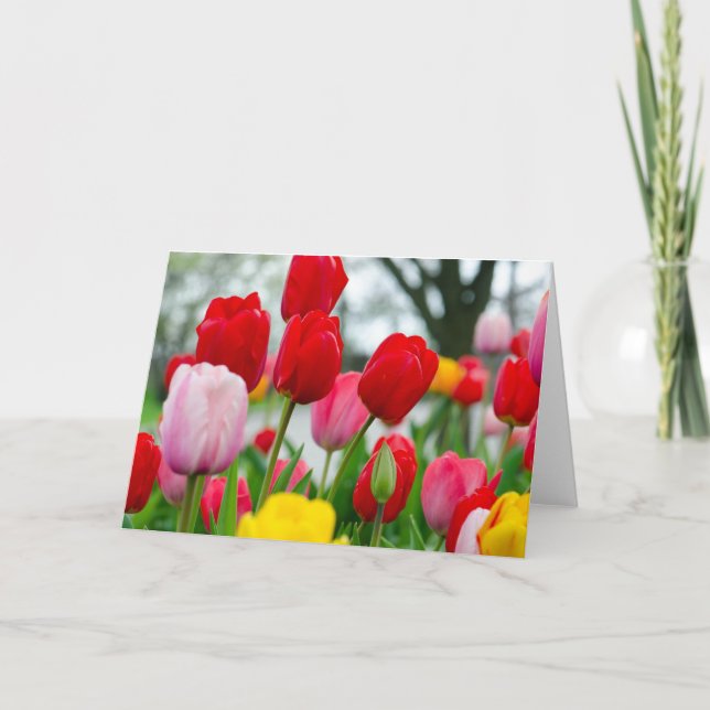 Tulpen Karte (Vorderseite)