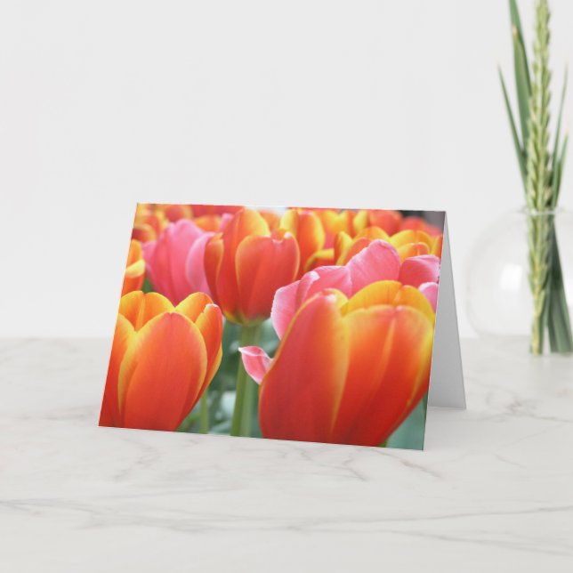 Tulpen Karte (Vorderseite)