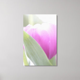 Tulpen, Keukenhoff-Gärten, Niederlande. 2 Leinwanddruck