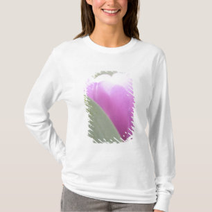 Tulpen, Keukenhoff-Gärten, Niederlande. 2 T-Shirt