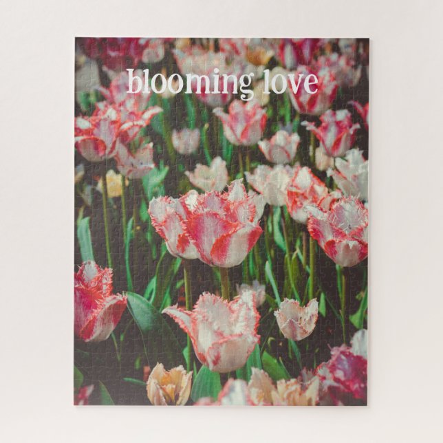 Tulpen mit Vintagem Rosa (Vertikal)