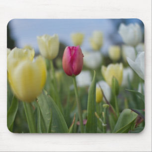 Tulpen Mousepad