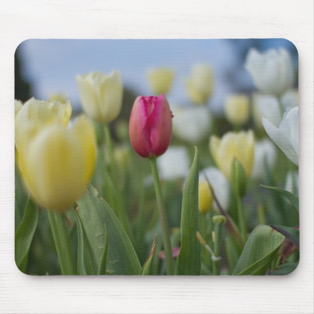 Tulpen Mousepad (Vorne)