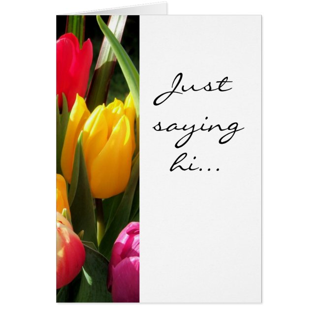 Tulpen, nur Sprichwort hi.. (Vorne)