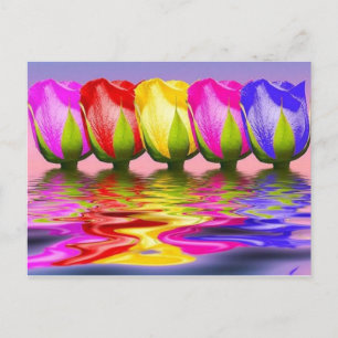 tulpen postkarte