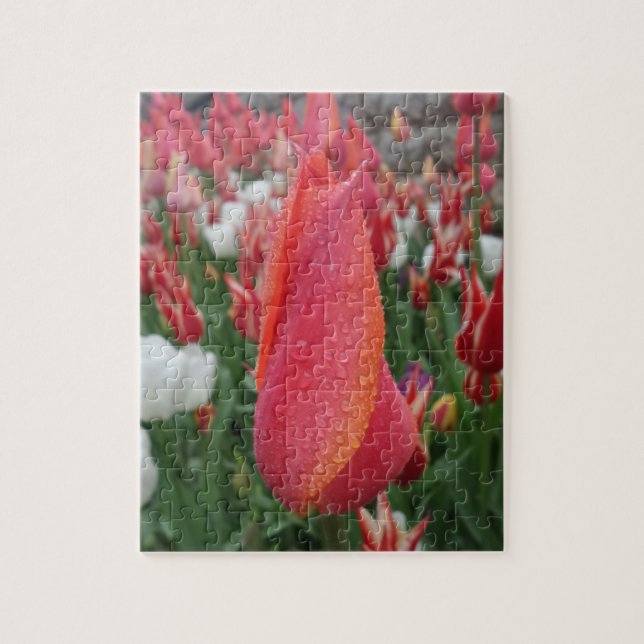 Tulpen-Puzzle (Vertikal)