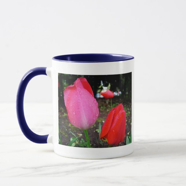 Tulpen, Regentropfen Tasse (Links)