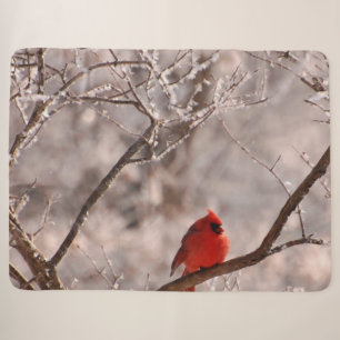 Tulpen Rot Sherpadecke