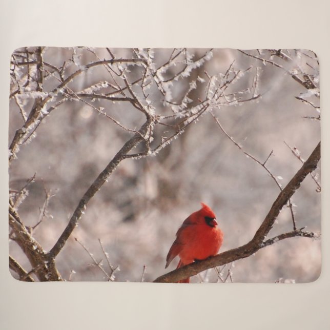Tulpen Rot Sherpadecke (Vorderseite (Horizontal))