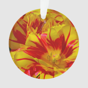 Tulpen, rot und gelb gestreift, Weihnachtsschmuck Ornament