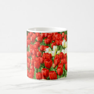 Tulpen, rot und weiß kaffeetasse