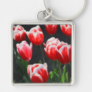 Tulpen, rot und weiß schlüsselanhänger