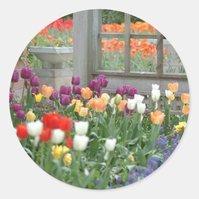 Tulpen Runder Aufkleber (Vorderseite)