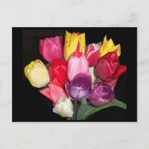 Tulpen sagen alles postkarte