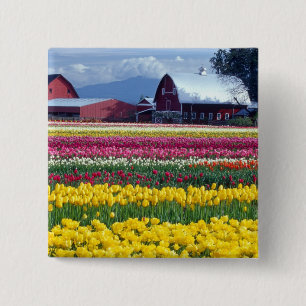 Tulpen-Schaufläche Button