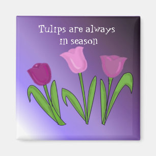 Tulpen sind immer in Saison Magnet