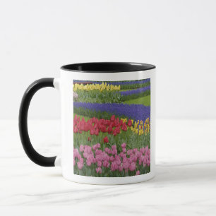 Tulpen-, Traubenhyazinthen- und Tasse