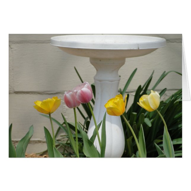 Tulpen u. denkend Birdbath, an "SIE " (Vorderseite (Horizontal))