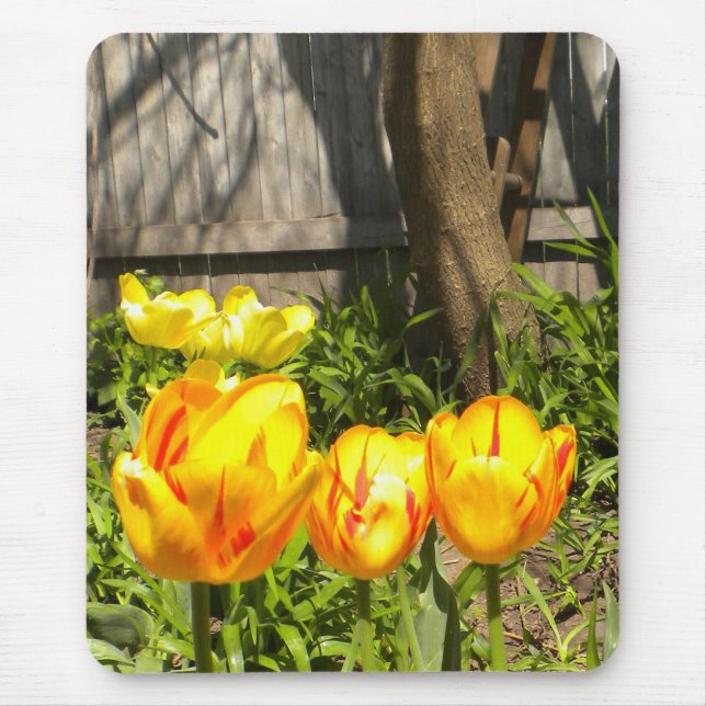 Tulpen und Bäume Mousepad (Vorne)