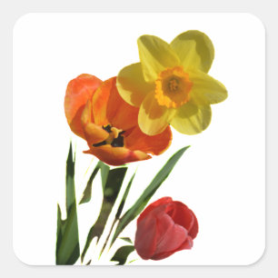 Tulpen und Blume Quadratischer Aufkleber