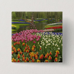 Tulpen- und Hyazinthen-Garten, Keukenhof-Gärten, Button