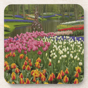 Tulpen- und Hyazinthen-Garten, Keukenhof-Gärten, Getränkeuntersetzer