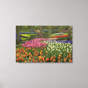 Tulpen- und Hyazinthen-Garten, Keukenhof-Gärten, Leinwanddruck